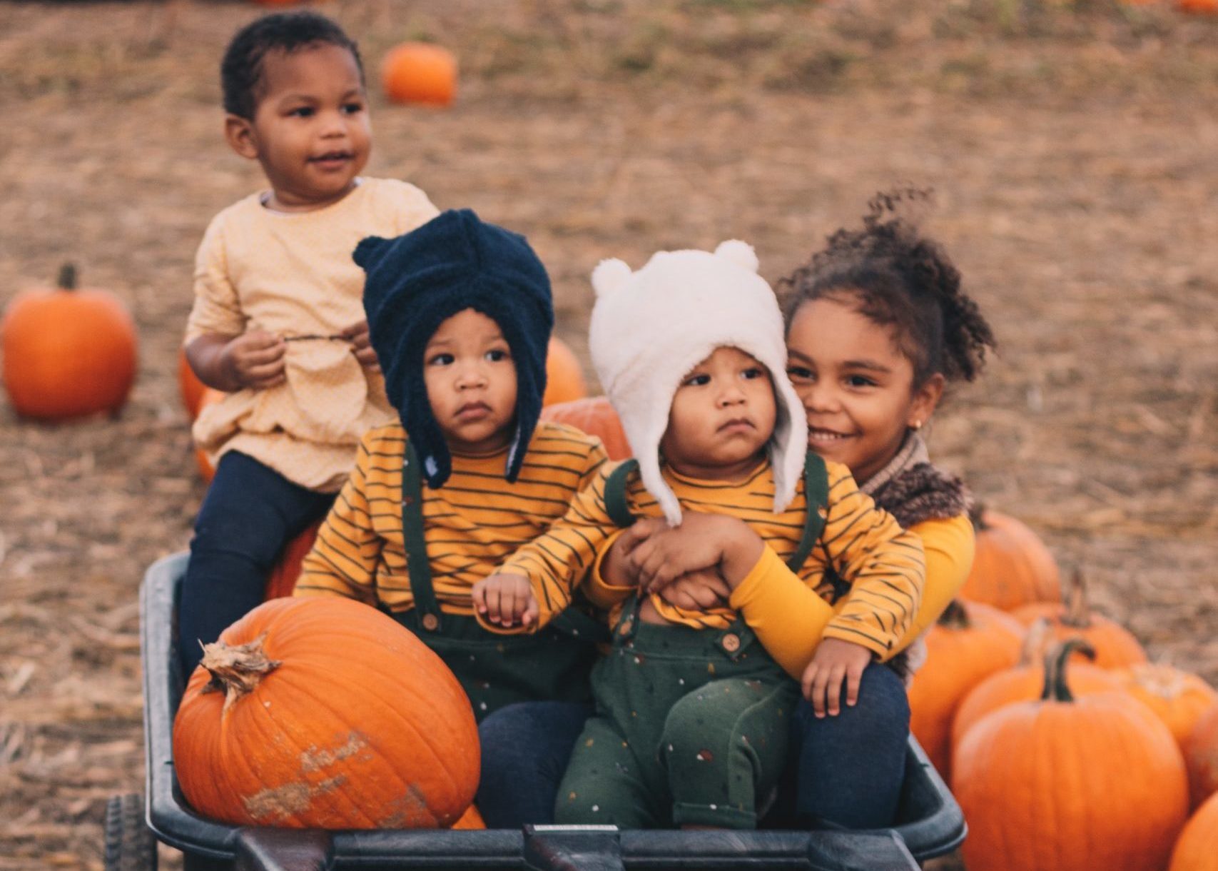 Pumpkin patch