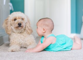 Baby and dog