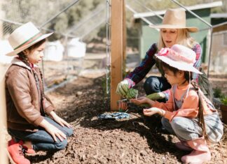 Kids on a farm