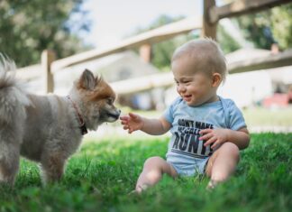 Kid and dog