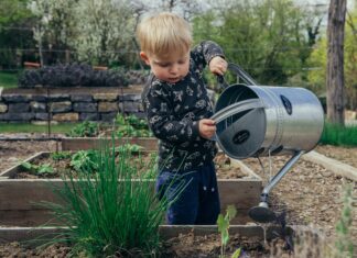 Gardening