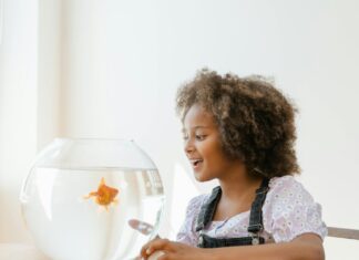Child looking at a fish bowl