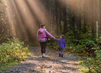 Sun rays beating down on mother and daughter walking in forest