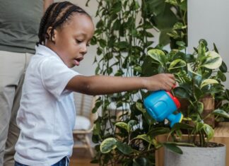 Daughter Watering Houseplants with Father