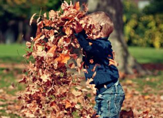 Kid throwing leaves in the air