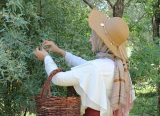 Woman Picking Flowers on a Plant