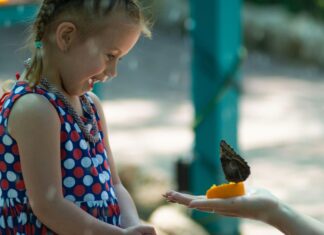 Photograph of a Kid Looking at a Butterfly