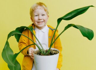 Boy in Yellow Jacket and White Shirt Holding Green Plant in pot